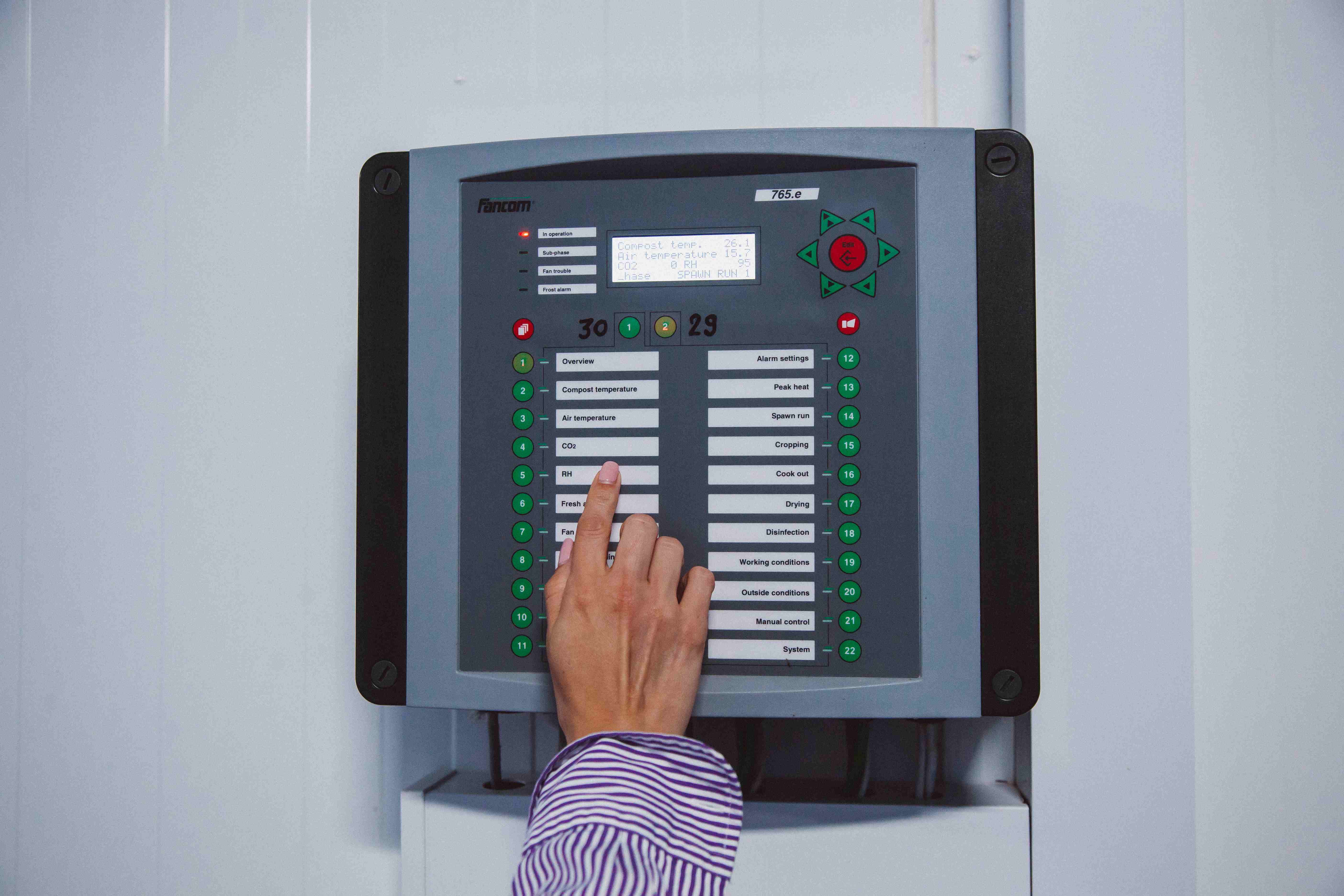 Отечественное грибоводство построено на передовых технологиях